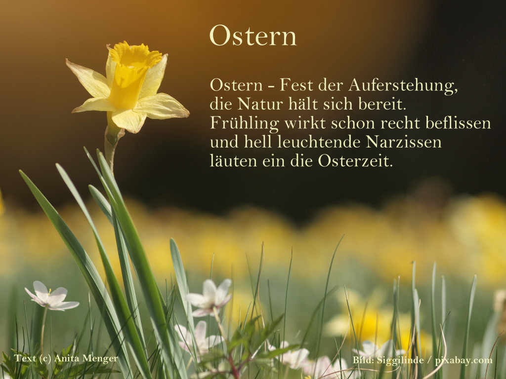 Fotogedicht: Ostern - Motiv Narzissen