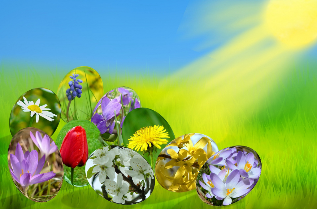 Ostermotiv Eier gläsern mit Frühlingsblüten