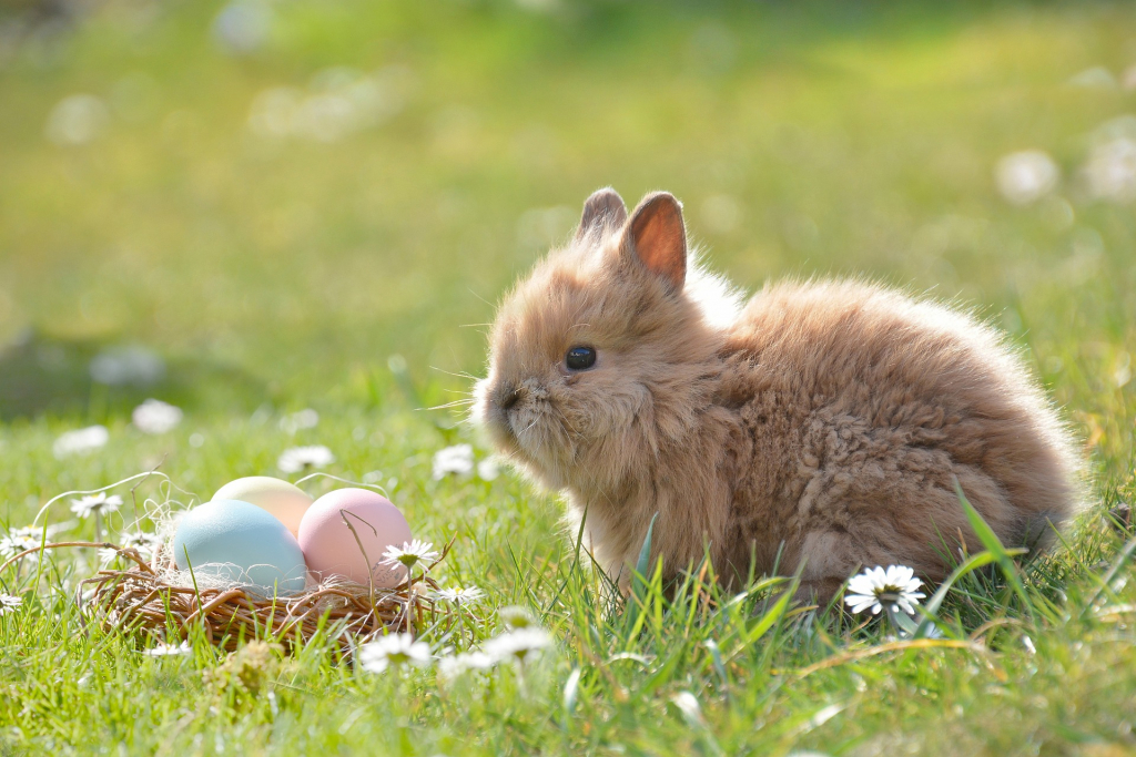 Ostermotiv Häschen mit Osternest