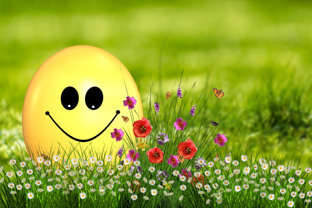 Smiley-Ei in Frühlingswiese