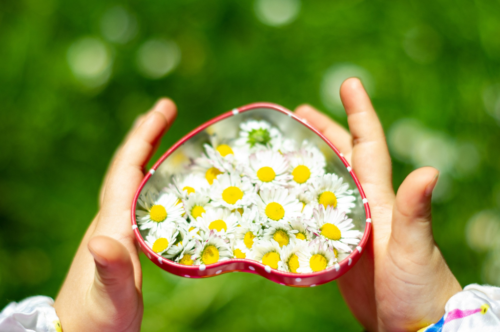 Muttertagsmotiv Gänseblümchen in Geschenkdose